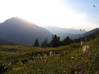 Apartamento de vacaciones Reit im Winkl Entorno 37