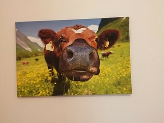 Apartamento de vacaciones Reit im Winkl Características 33