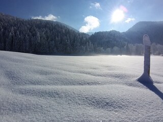 Apartamento de vacaciones Reit im Winkl Grabación al aire libre 9