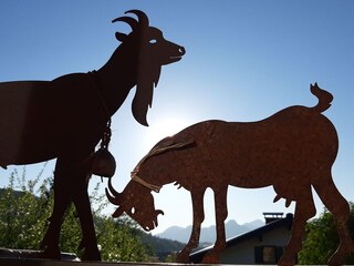 Appartamento per vacanze Reit im Winkl Registrazione all'aperto 9