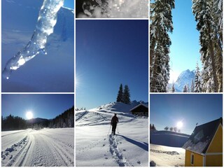 Appartamento per vacanze Reit im Winkl Ambiente 38