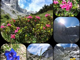 Appartamento per vacanze Reit im Winkl Ambiente 32