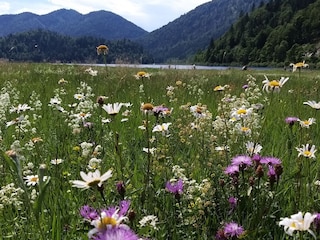 Apartamento de vacaciones Reit im Winkl Entorno 38