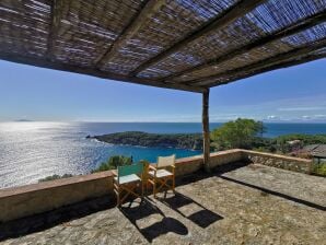 Holiday house Villa Archipel - Seccheto - image1