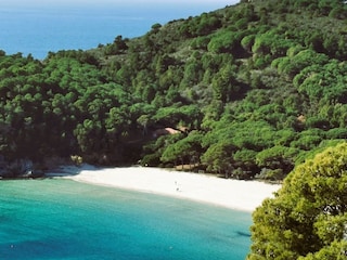 Blick vom Haus auf den Strand von Fetovaia