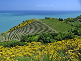 Vakantiepark Granarola  16