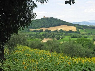 Parque de vacaciones Granarola  20