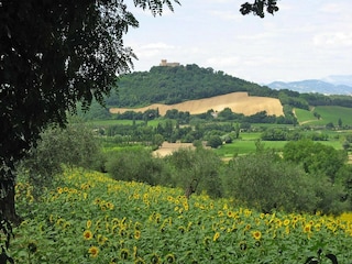 Vakantiepark Granarola  19