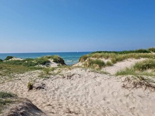 Vakantiehuis Læsø  33
