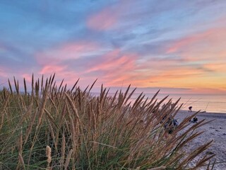 Vakantiehuis Læsø  7