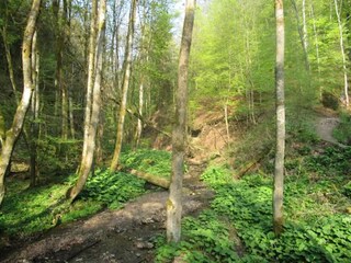 Appartement Winterberg Omgeving 19