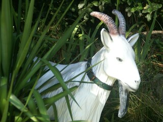 Maison de vacances Piolenc  29