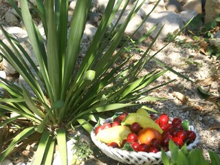 Holiday house Piolenc  27