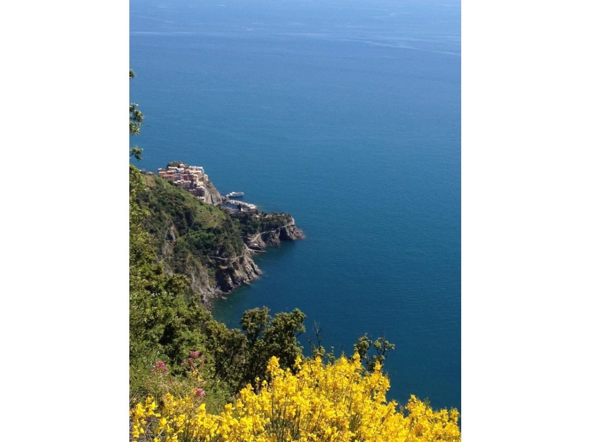 Aussicht von unseren eigenen Weinbergen auf Manarola