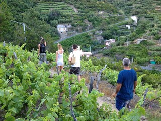 Appartamento per vacanze Manarola Ambiente 21