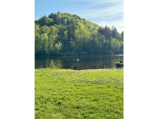 Apartamento Ludwigswinkel Grabación al aire libre 3