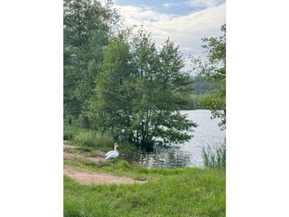 Appartement Ludwigswinkel Buitenaudio-opname 8