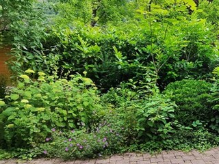 Blick aus dem Wohnzimmer