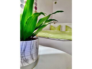 1E7B73ED-F2B8-4C14-927E-FEBE52835562