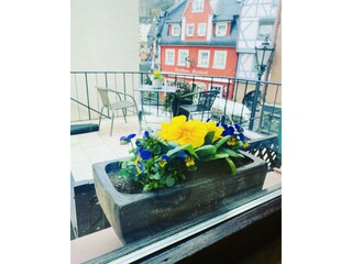 FD0BF046-1F6B-4A3E-98AF-3A557D3726A0