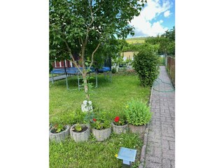 Garten mit Trampolin