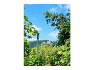 Burgblick aus dem Garten