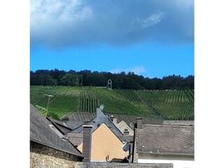 Skywalk ganz oben for dem Wald