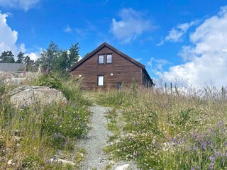 Vakantiehuis Stavanger Buitenaudio-opname 4