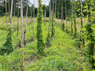 Holiday house Kyrkhult Outdoor Recording 8