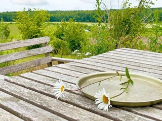 Holiday house Ruda Outdoor Recording 4