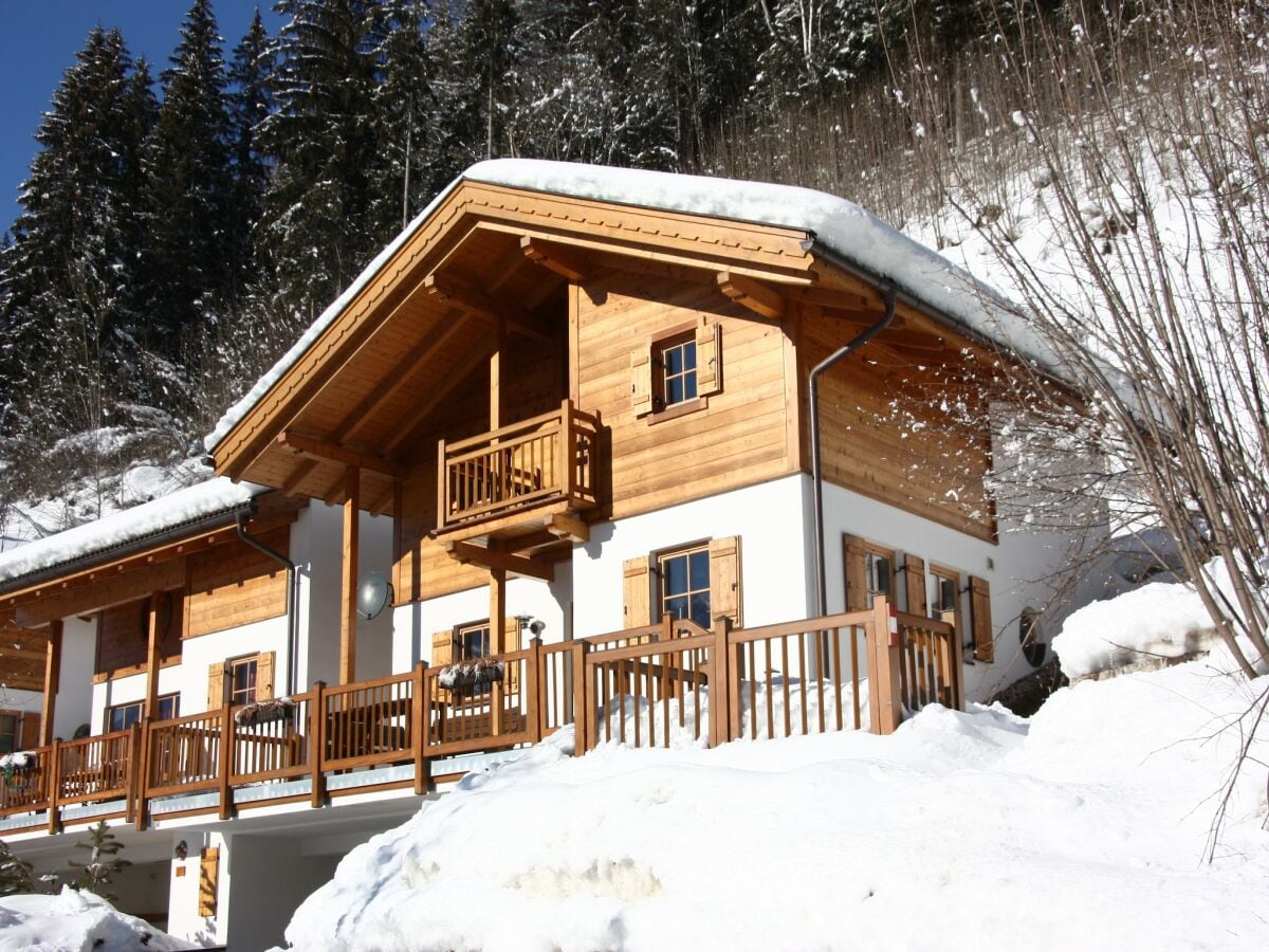 Ferienpark Wald im Pinzgau Außenaufnahme 1