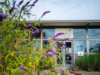 Casa de vacaciones Havelte Entorno 30