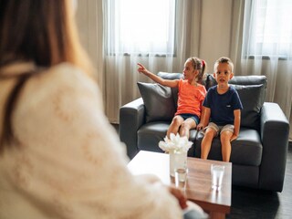 Vakantiehuis Havelte Kenmerken 22