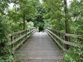 Villa Biddinghuizen Omgeving 32