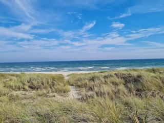 Vakantiehuis Aalbæk  31