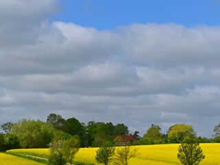 Apartment Dorf Mecklenburg Umgebung 24