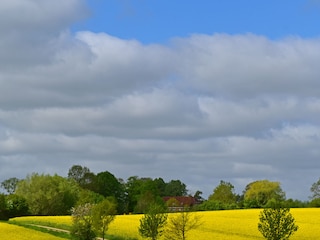 Appartement Dorf Mecklenburg Environnement 24
