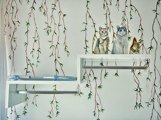 Appartement Dro Équipement 10