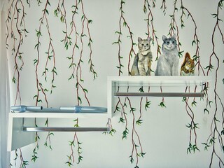 Apartment Dro Ausstattung 17