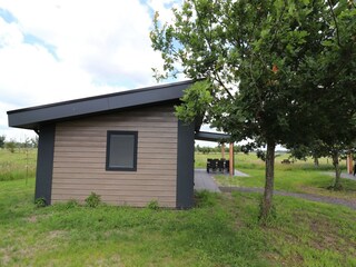 Vakantiehuis Paasloo Buitenaudio-opname 3