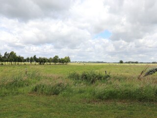 Vakantiehuis Paasloo Buitenaudio-opname 2