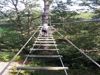 Vakantiehuis Paasloo Omgeving 28