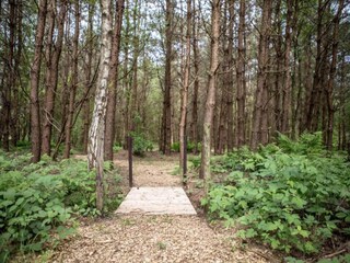 Maison de vacances Paasloo Environnement 31