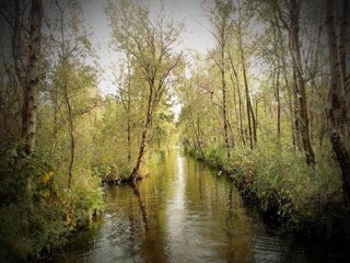 Vakantiehuis Paasloo Omgeving 33