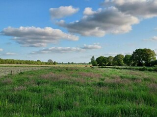 Maison de vacances Paasloo Environnement 38