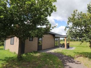 Holiday house Spacious chalet in a rural location near Giethoorn - Paasloo - image1