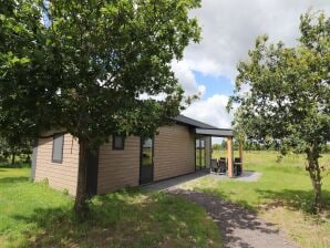 Holiday house Spacious chalet in a rural location near Giethoorn - Paasloo - image1