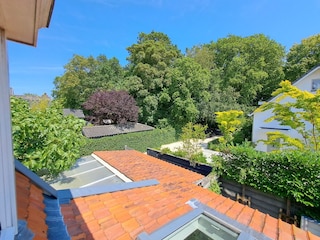 Cottage Bergen (Holland) Umgebung 36