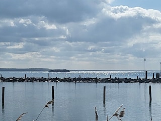 ein Fahrgastschiff auf der Müritz