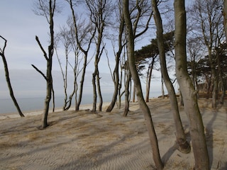 Weststrand